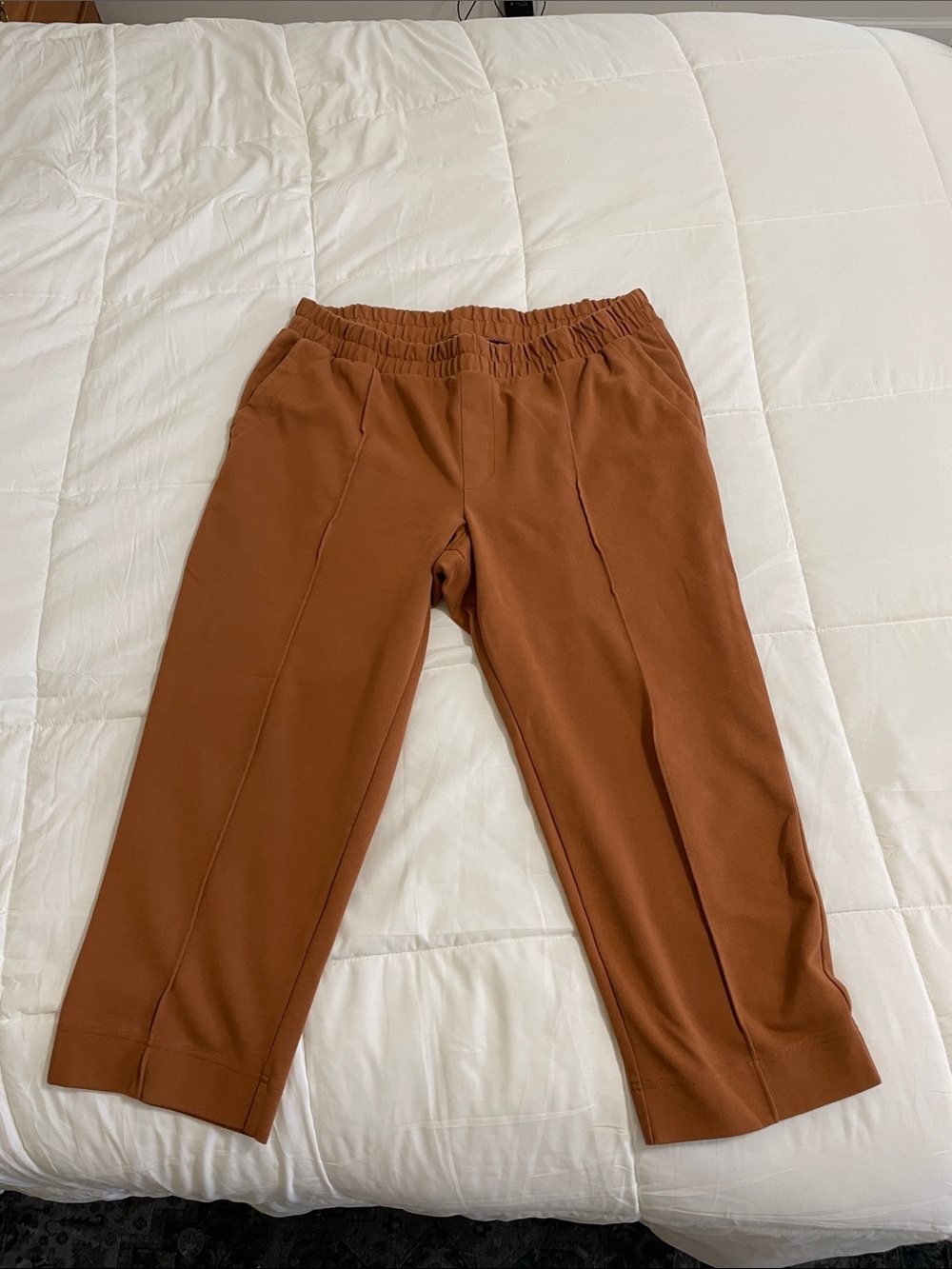 a new day Rust Orange Elastic Waist Pants XXL